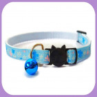 Kitten-059